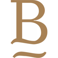 Logo BV Consulting