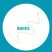 Logo BRIES
