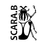 Logo Scara-B