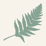 Logo BOIS SAINT JEAN