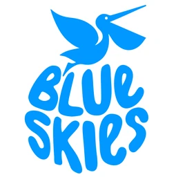 Logo BLUE SKIES HOLDINGS
