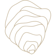 Logo Oystr Studio