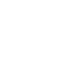 Logo REMUS