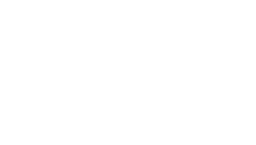 Logo NEXUS POINT SCS
