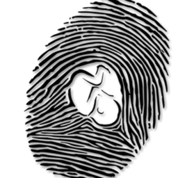 Logo B & S Beheer