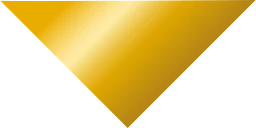 Logo TRIOR