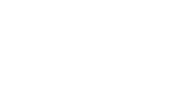 Logo AFTERFADE