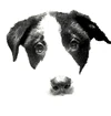 Logo FLORICO