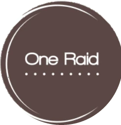 Logo ONE-RAID