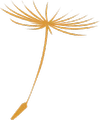 Logo TUMIKA
