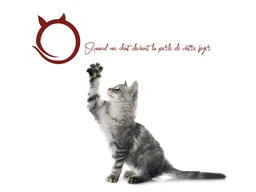 Logo Perle de chat