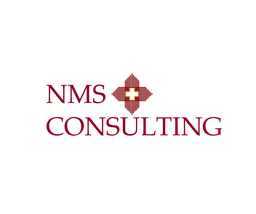 Logo NMS CONSULTING