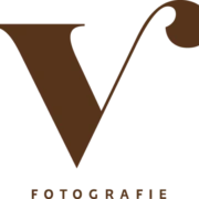 Logo VIMO