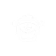 Logo Vizion Focus