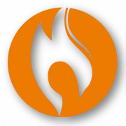 Logo VLEMMIX EN BIERENS