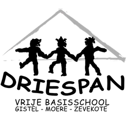 Logo Driespan