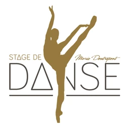 Logo STAGE DE DANSE