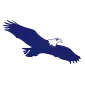Logo Eagle