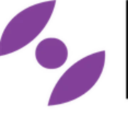Logo BSG SOLUTIONS