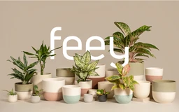 Logo FEEY