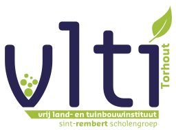 Logo VLTI