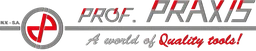 Logo PROF PRAXIS