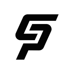 Logo CAR PERFECTION