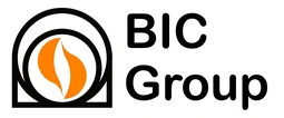 Logo BELGIUM INVEST & CONSULTING