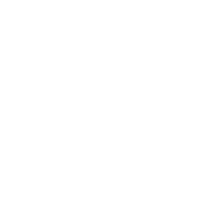 Logo C&V DEFENCE