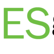 Logo ES GROUP
