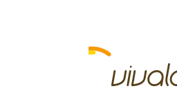 Logo VIVALDIS Groep