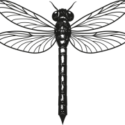Logo BLACK BOX