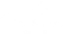 Logo MetiSelect