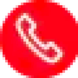 Logo NetVoip