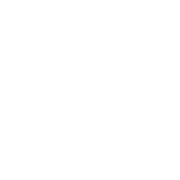 Logo Nexu