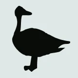 Logo De Ganzenpoel