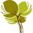 Logo SCHRÖDER