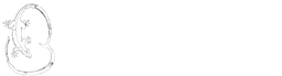 Logo BROCKSTONE