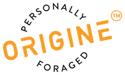 Logo ORIGINE