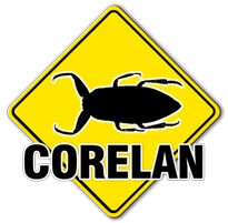 Logo Corelan Consulting