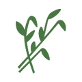 Logo Tuinen Lafaut