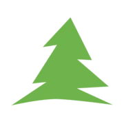 Logo PINE TREE