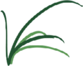 Logo Les Petits Chemins