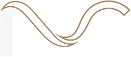 Logo NUMITAX