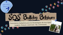 Logo SOS BULLDOG BELGIUM
