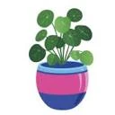 Logo Pilea Studio