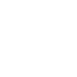 Logo Stichting Wereld Dorpen voor Kinderen