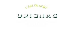 Logo Upignac Group