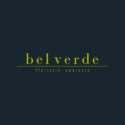 Logo Bel Verde