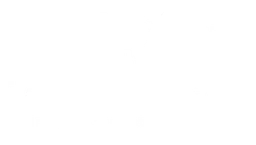 Logo TAILORMATE